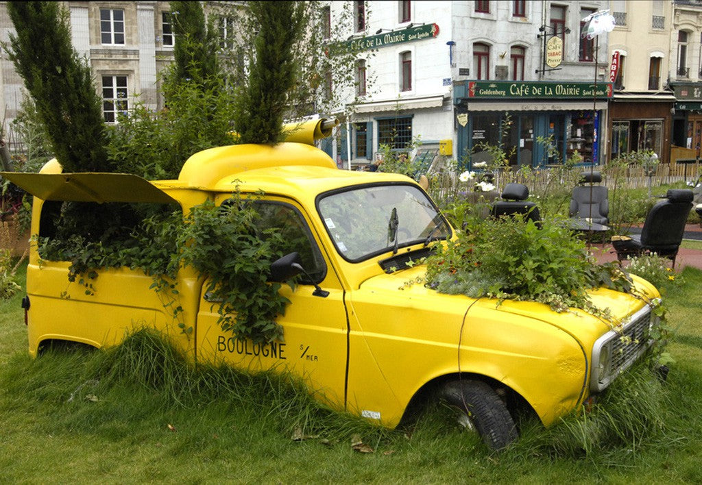 Gelbes Auto im und vom Grün eingewachsen.