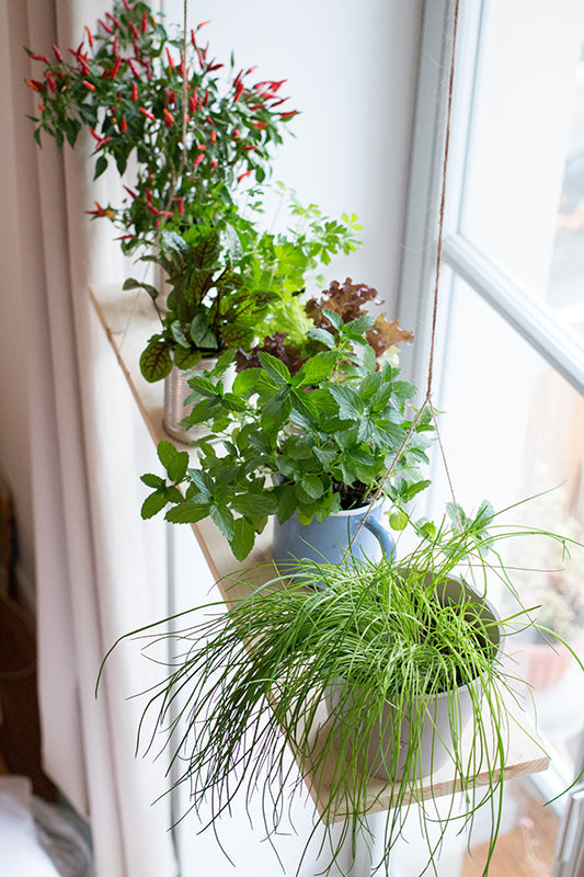 Schwebendes Fensterbrett selber machen – DIY-Regal zum Hängen aus Holz & Juteschnur
