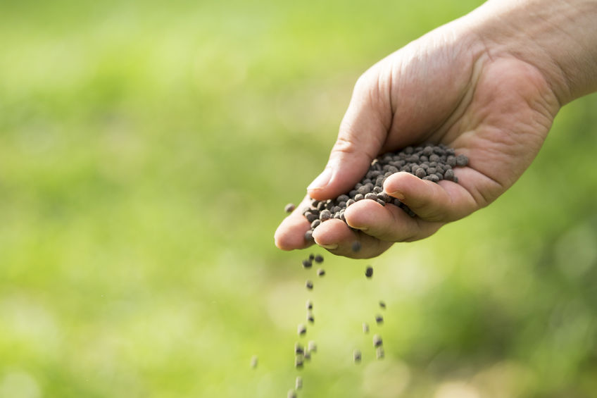 Richtig Dngen  aber wie?  Gartenzauber