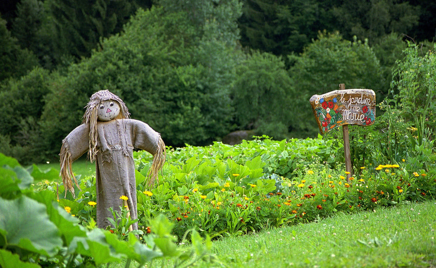 Vogelscheuchen – Fabelhafte Feld-Gestalten