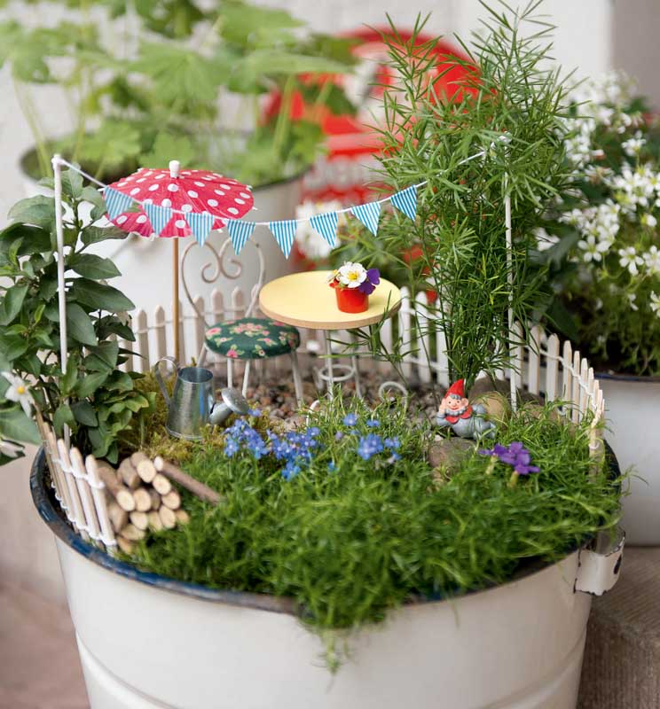 hanging fern plant Large Boston Fern Hanging Basket Houseplant - Large (tall) Grow Pot main image 1
