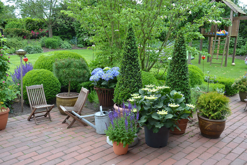 Dauerbepflanzung auf dem Balkon  Gartenzauber