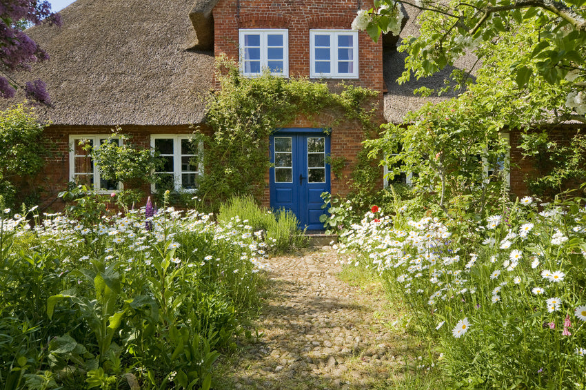 Ein idylischer Bauerngarten vor der Haustür eines Reetdachhauses.