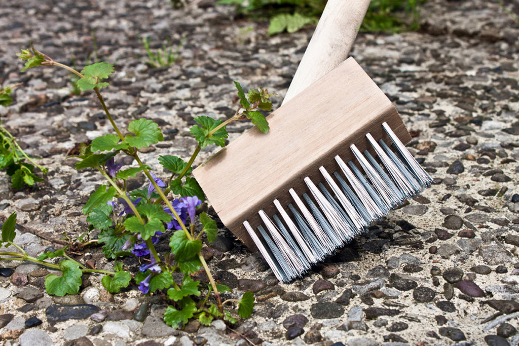 Fugenkratzer mit Metallborsten.