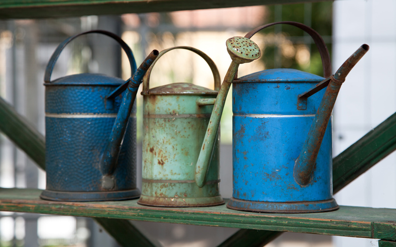 Gartentipps für den Nutzgarten im November