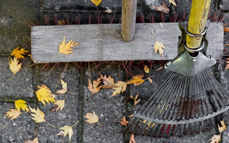 Ein Besen und eine Laubharke in der Detailansicht mit Herbstlaub.