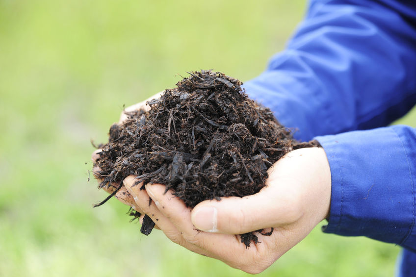 Eine Person in einem blauen Ärmel hält sorgfältig einen Klumpen dunkler, fruchtbarer Erde in den Händen, symbolisch für nachhaltige Landwirtschaft und Gartenarbeit.