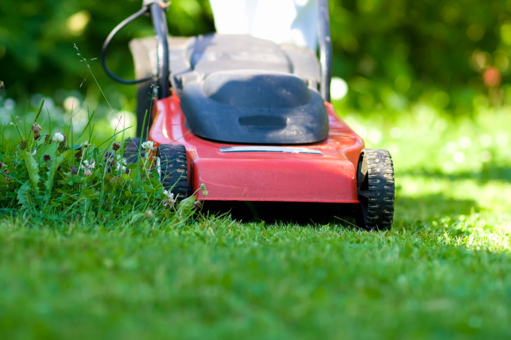 Das macht müden Rasen munter