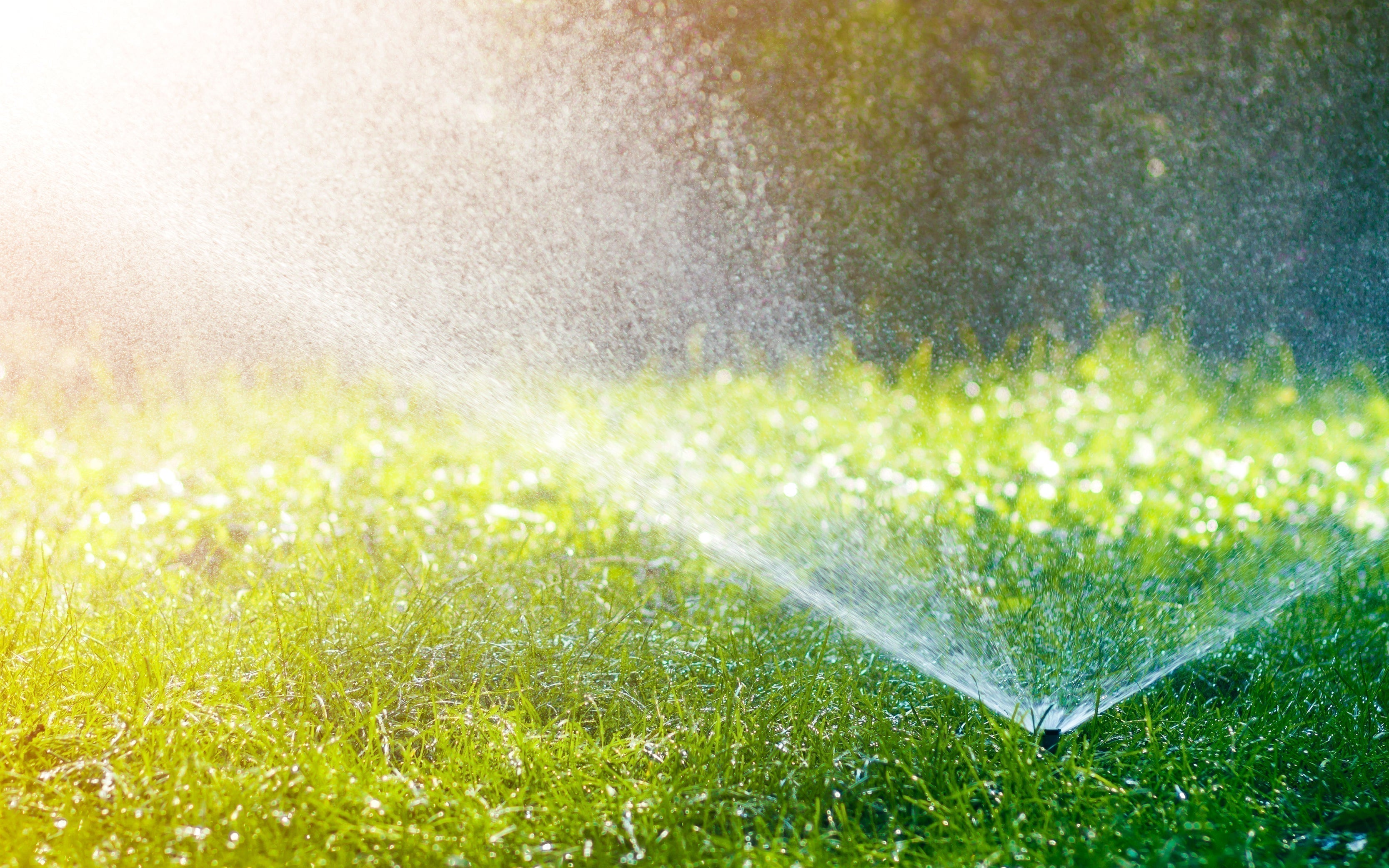 Rasensprenger versprüht Wasser auf einem grünen Rasen im Sommerlicht