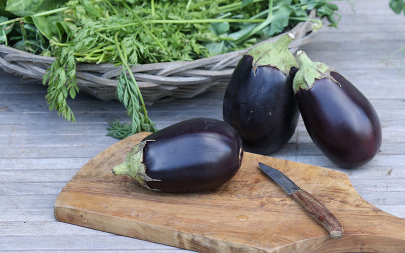 Auberginen pflanzen, pflegen & ernten – so gelingt der Anbau im eigenen Garten