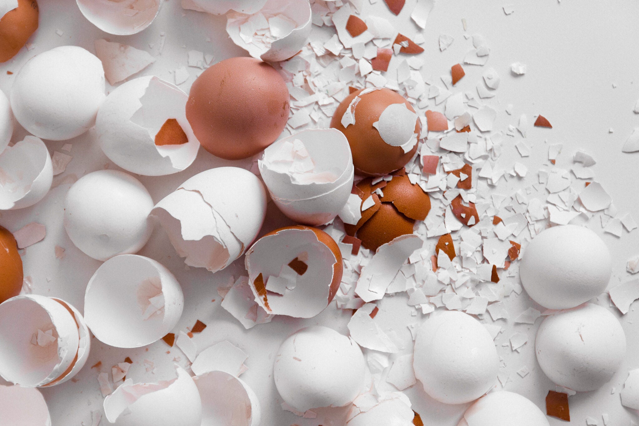 DIY Flüssigdünger aus Eierschalen selber herstellen