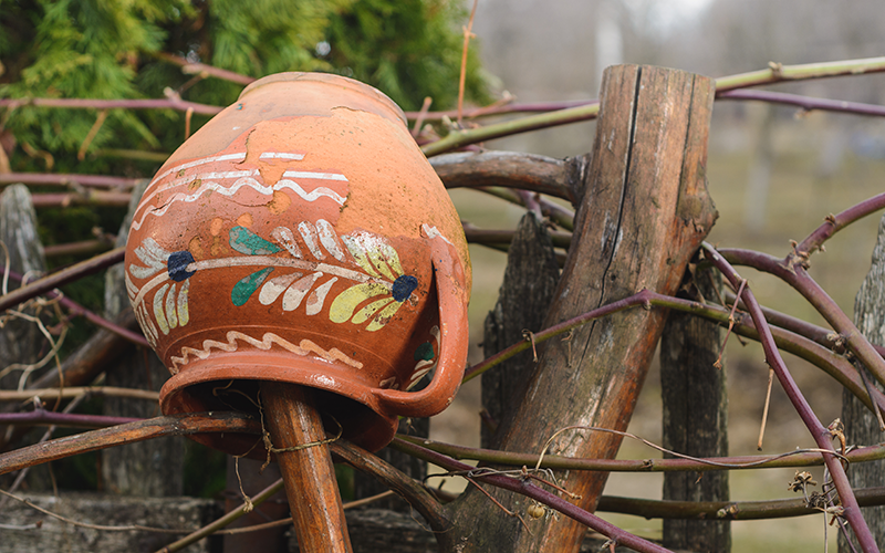 Nützlinge ansiedeln – der Ohrwurmtopf