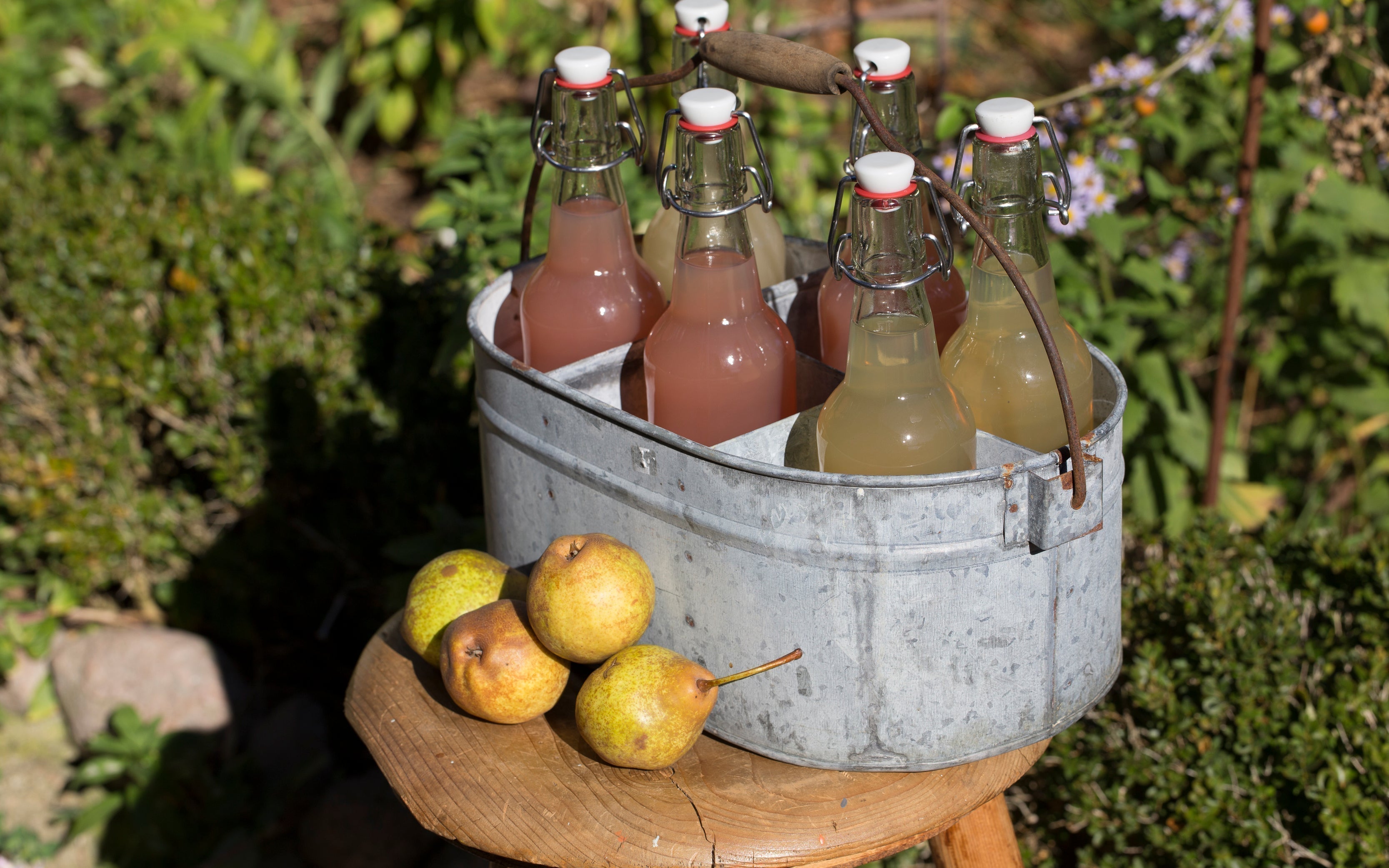 Hausgemachter Birnensaft in Bügelflaschen, arrangiert in einem verzinkten Trägerkorb im Garten, daneben frische Birnen auf einem Holzhocker