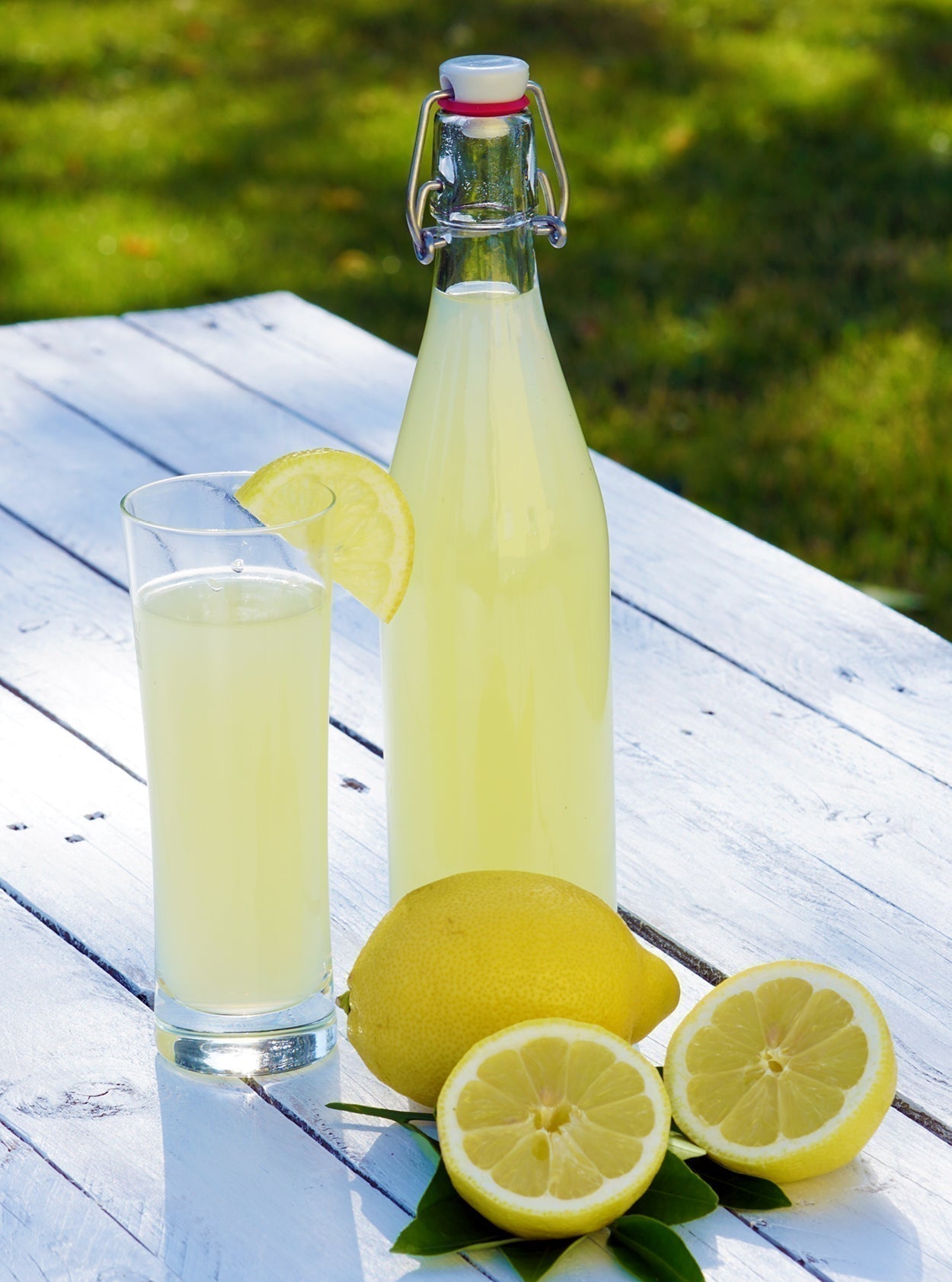 Selbstgemachte Zitronenlimonade in dekorativen Glasflaschen mit frischen Zitronenscheiben, Eiswürfeln und bunten Bändern, serviert auf einem sommerlich gedeckten Tisch im Freien.