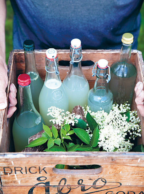 Holzkiste mit verschiedenen Glasflaschen gefüllt mit selbstgemachtem Holunderblütensprudel, dekoriert mit frischen Holunderblüten und grünen Blättern – erfrischendes Sommergetränk im natürlichen Stil.