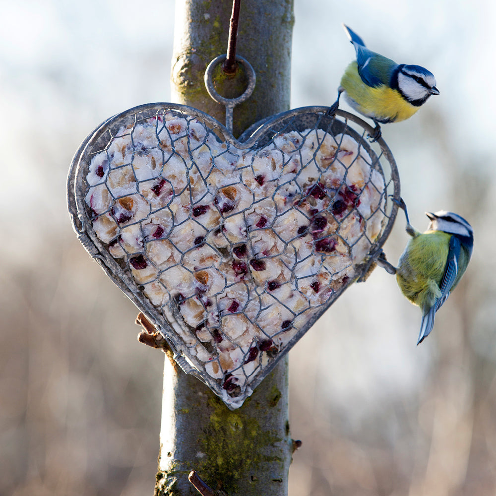 Rustikales Herz aus Metall im Garten – dekorativ und vielseitig befüllbar
