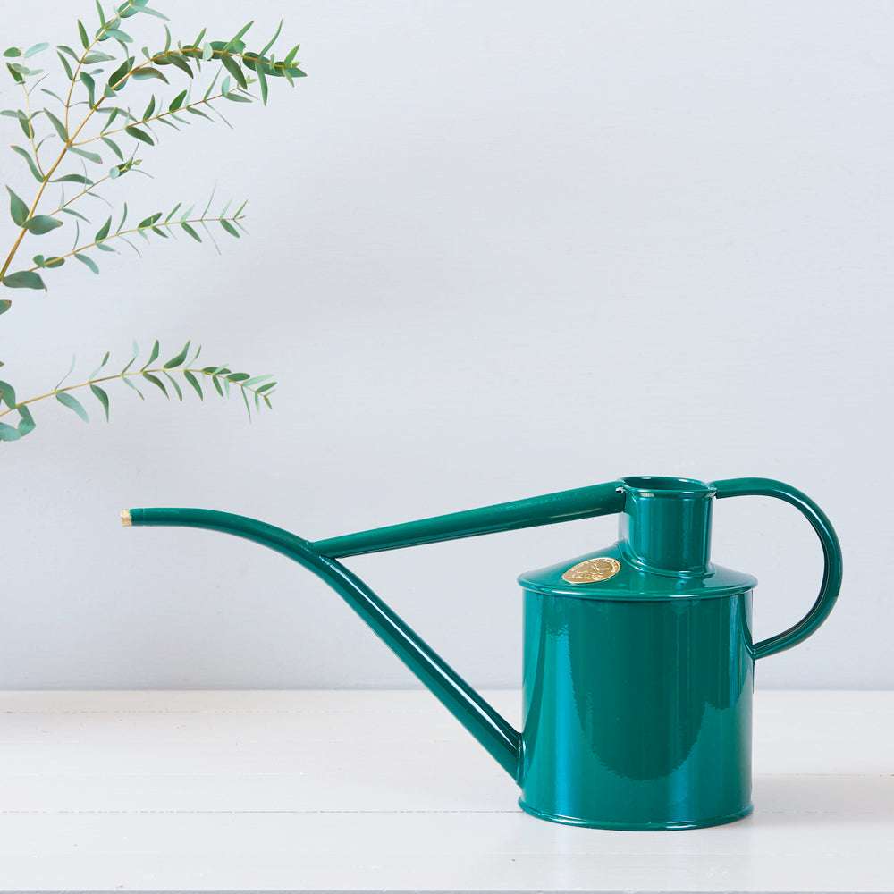 haws-indoor-gießkanne-gruen