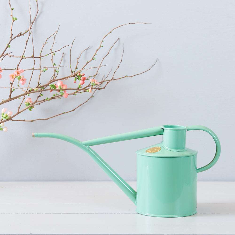 haws-indoor-gießkanne-hellgruen