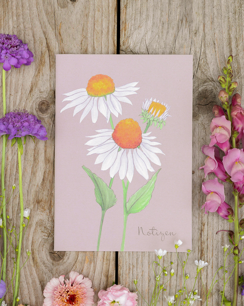 A5 Notizheft Weißer Sonnenhut – Gartenzauber Papeterie auf Holztisch, dekoriert mit Sommerblumen.