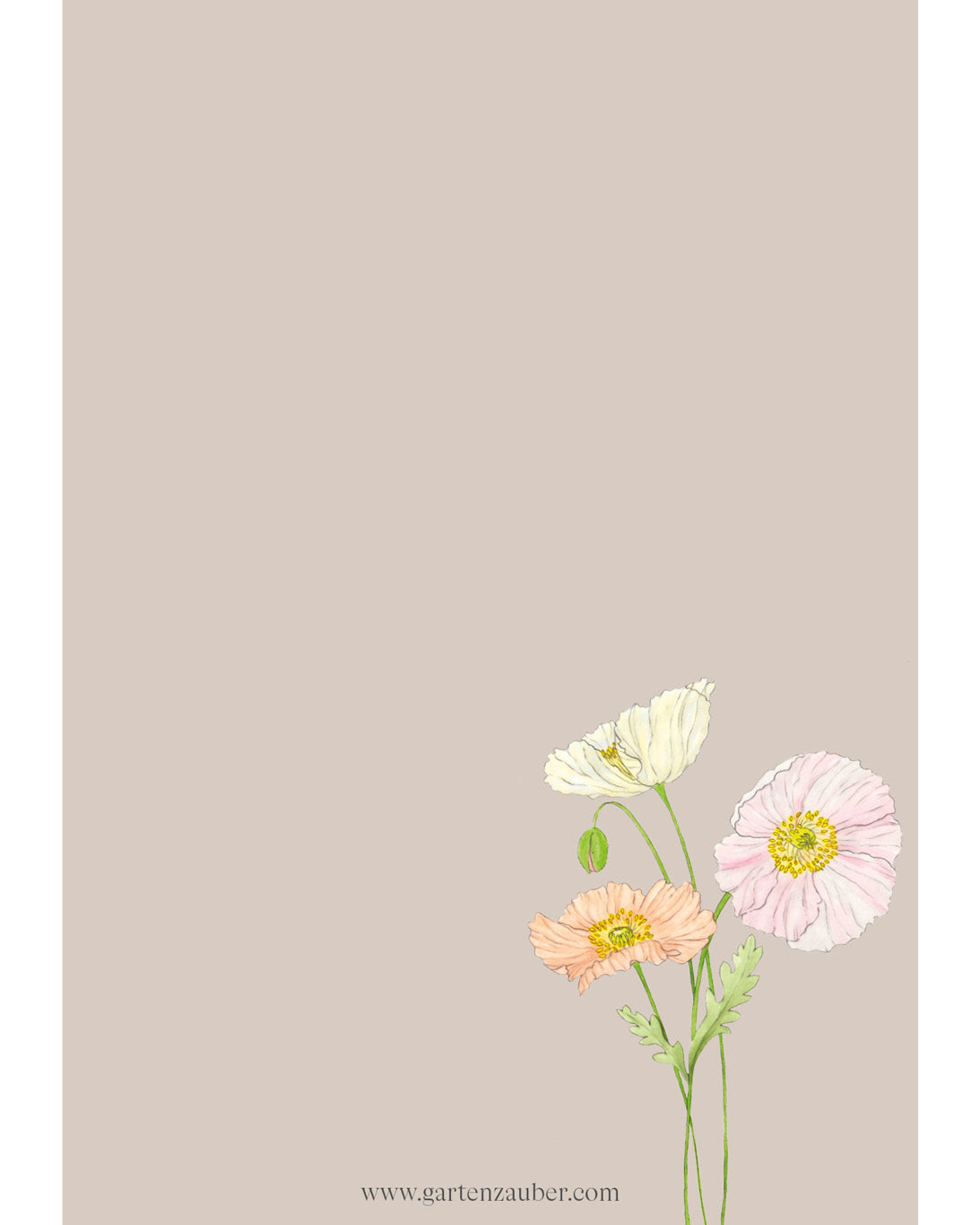 Notizblock A6 mit handgezeichnetem Islandmohn Colibri® Rosa Chiaro – Gartenzauber Papeterie.