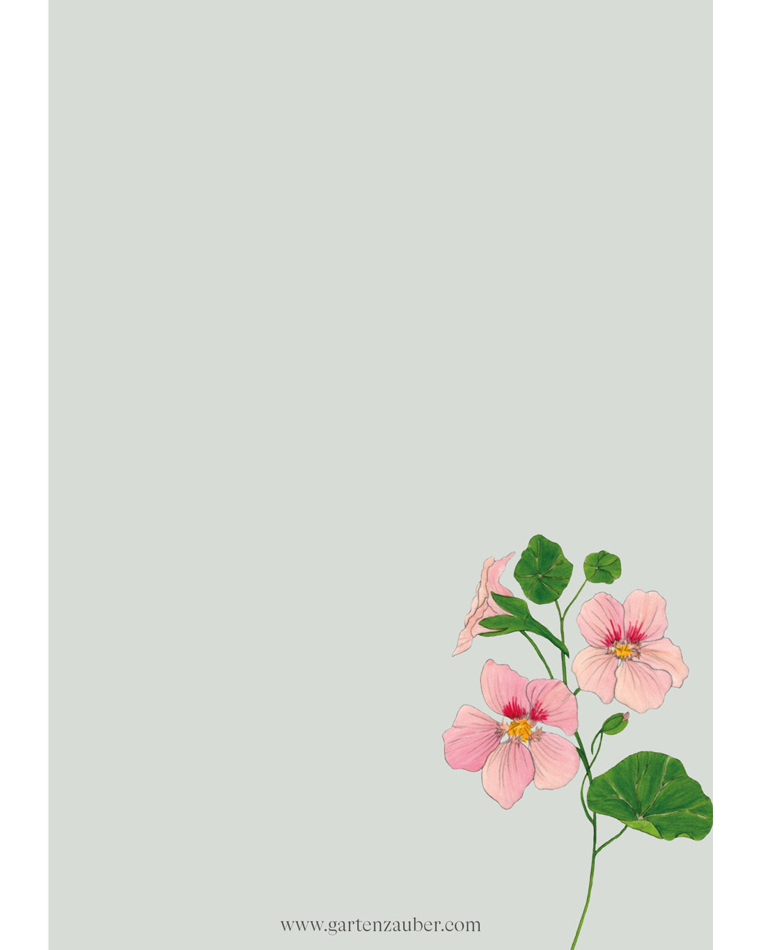 Notizblock A6 mit handgezeichneter Kapuzinerkresse Salmon Gleam – Gartenzauber Papeterie.
