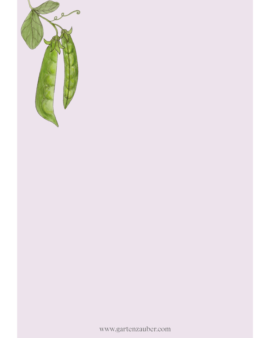 Notizblock A6 mit handgezeichneter Zuckererbse, die von oben ins Blatt rankt – Gartenzauber Papeterie