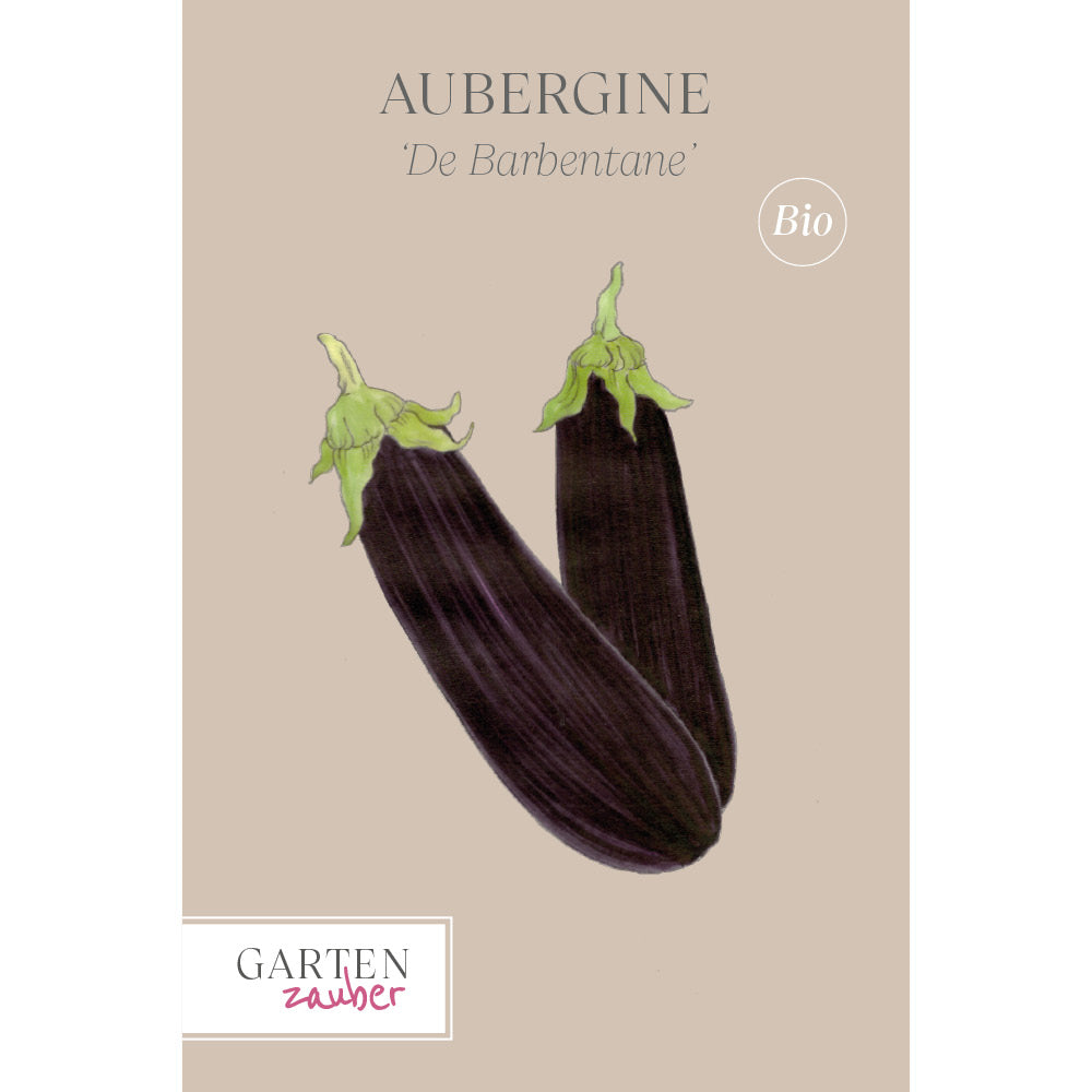 Aubergine 'De Barbentane' Saatgut online kaufen