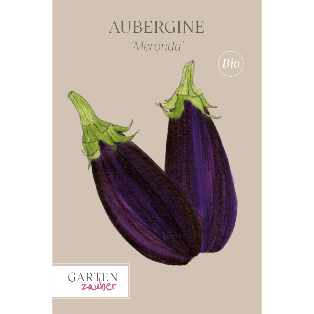 Aubergine 'Meronda' Saatgut online kaufen