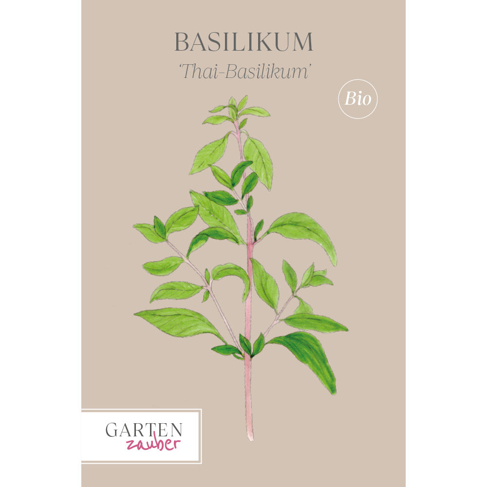 Thai-Basilikum Saatgut – Exotische Küchenkräuter