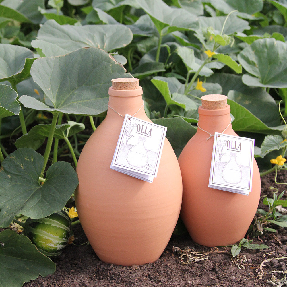 Zwei Terrakotta-Bewässerungstöpfe (Ollas) mit Korkverschluss stehen in einem Gartenbeet, umgeben von grünen Pflanzen.