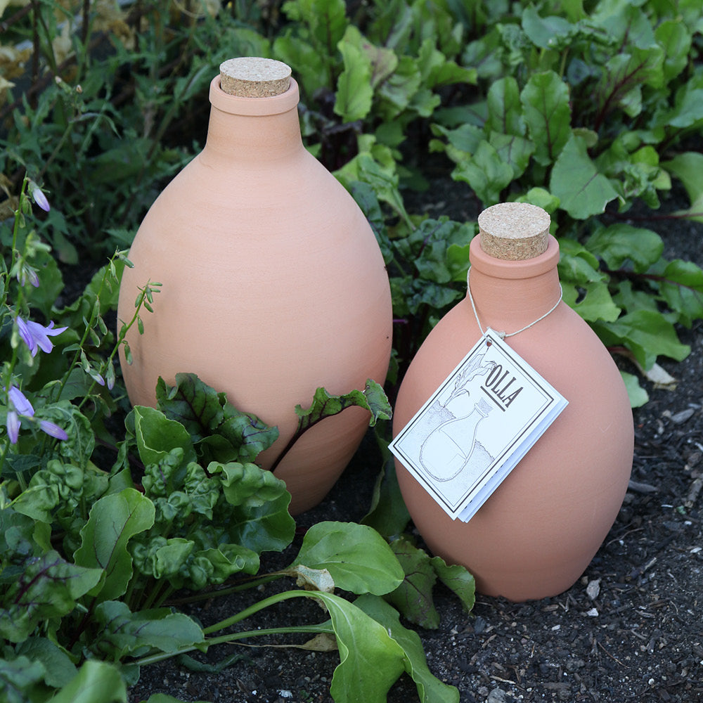 Zwei Terrakotta-Bewässerungstöpfe Olla mit Korkdeckeln stehen draußen inmitten grüner Pflanzen in einem Gartenbeet.