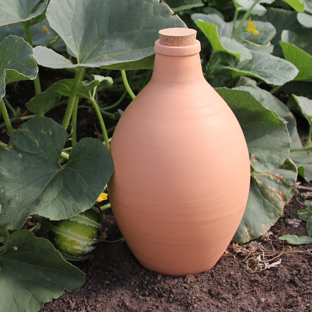 Ton-Bewässerungstopf Olla, 4 Liter, mit Korkverschluss, auf Erde zwischen grünen Pflanzblättern im Garten platziert.
