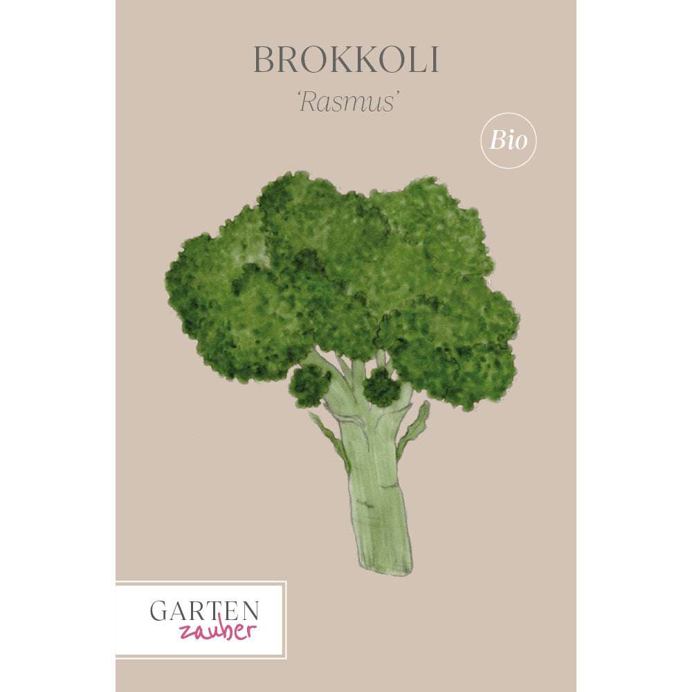 Vorderansicht Saatguttuete Brokkoli 'Rasmus' aus der Gartenzauber-Saatgutserie Gemuese Pflanze Brokkoli 'Rasmus'