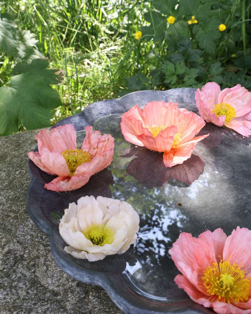 Vogelbad und Dekoschale aus Beton von Eldgarden