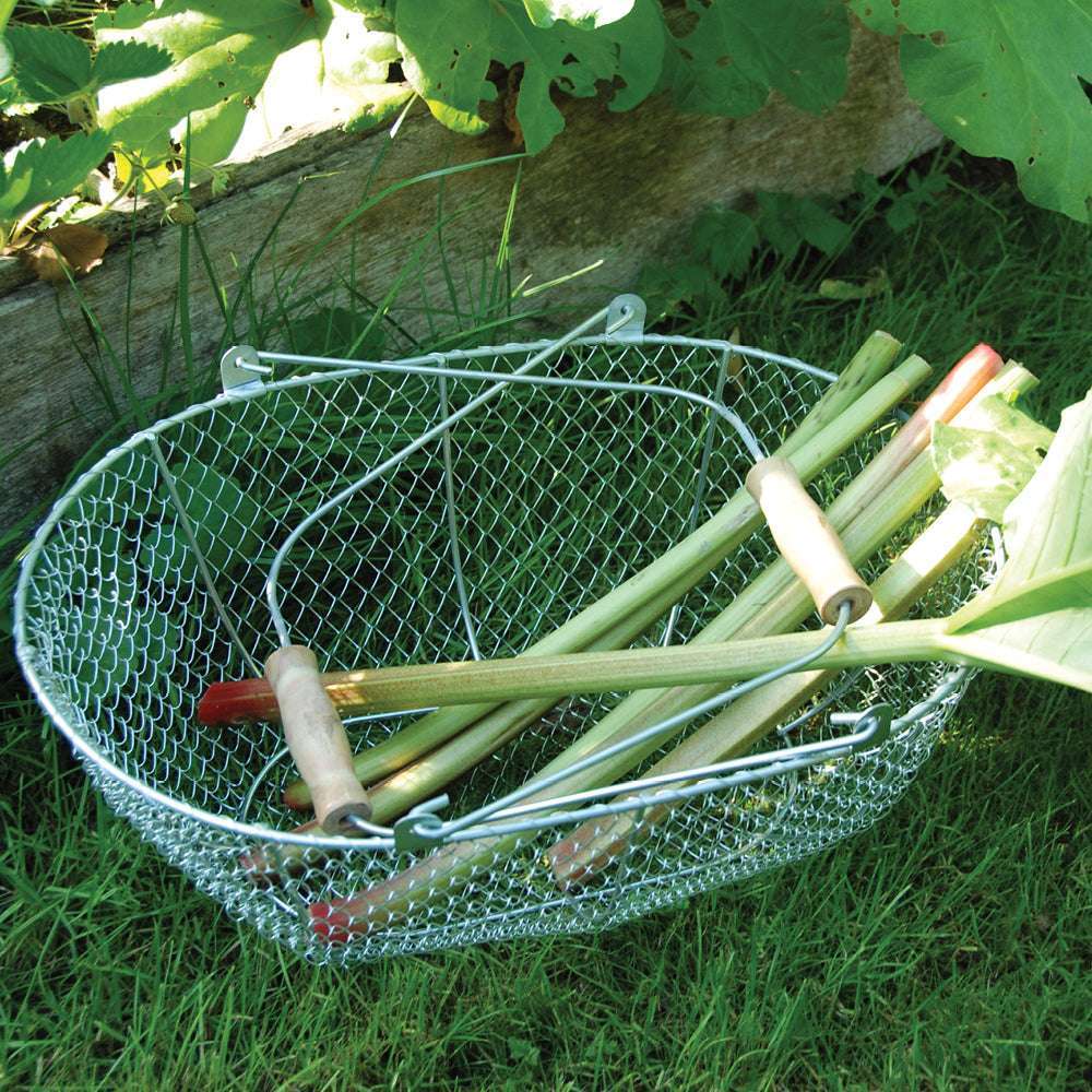 Erntekorb mit frisch geerntetem Gemüse im Garten – robust & praktisch für die Ernte.