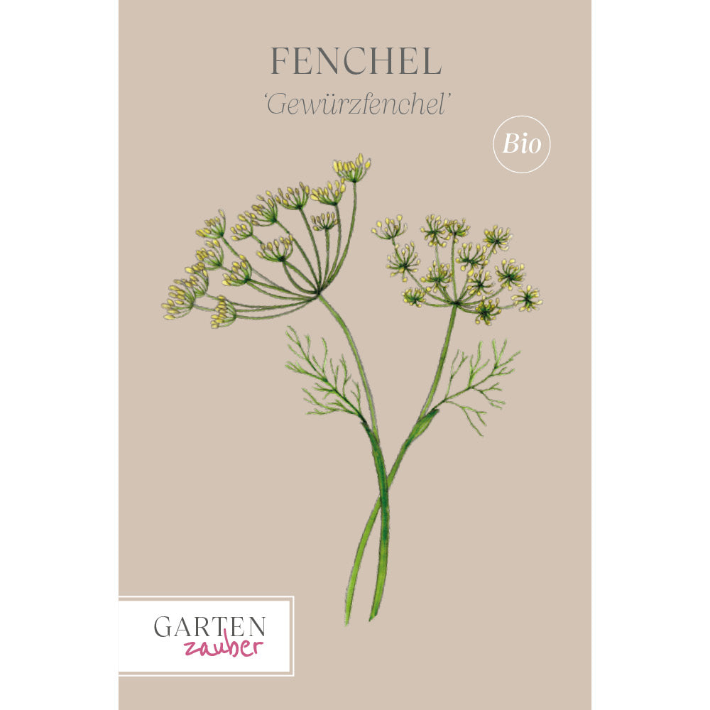 fenchel saatgut Gewürzfenchel Saatgut – Küchenkräuter