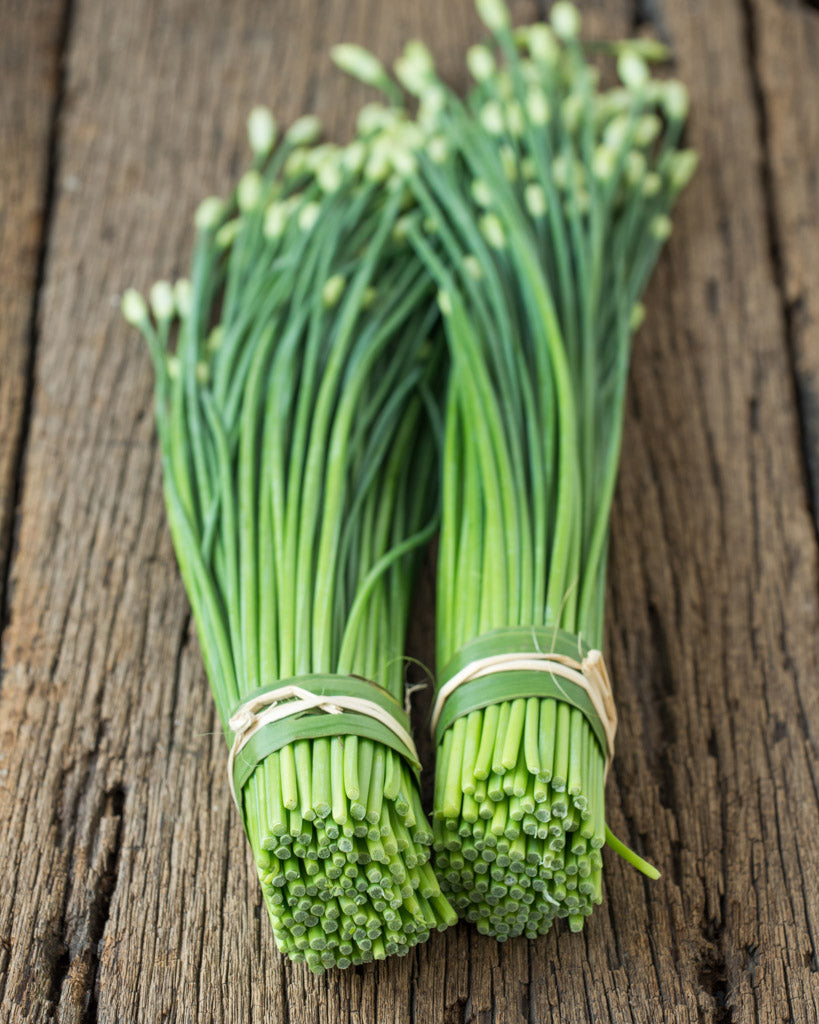 Schnittknoblauch aus der Saatgut-Kollektion von Gartenzauber