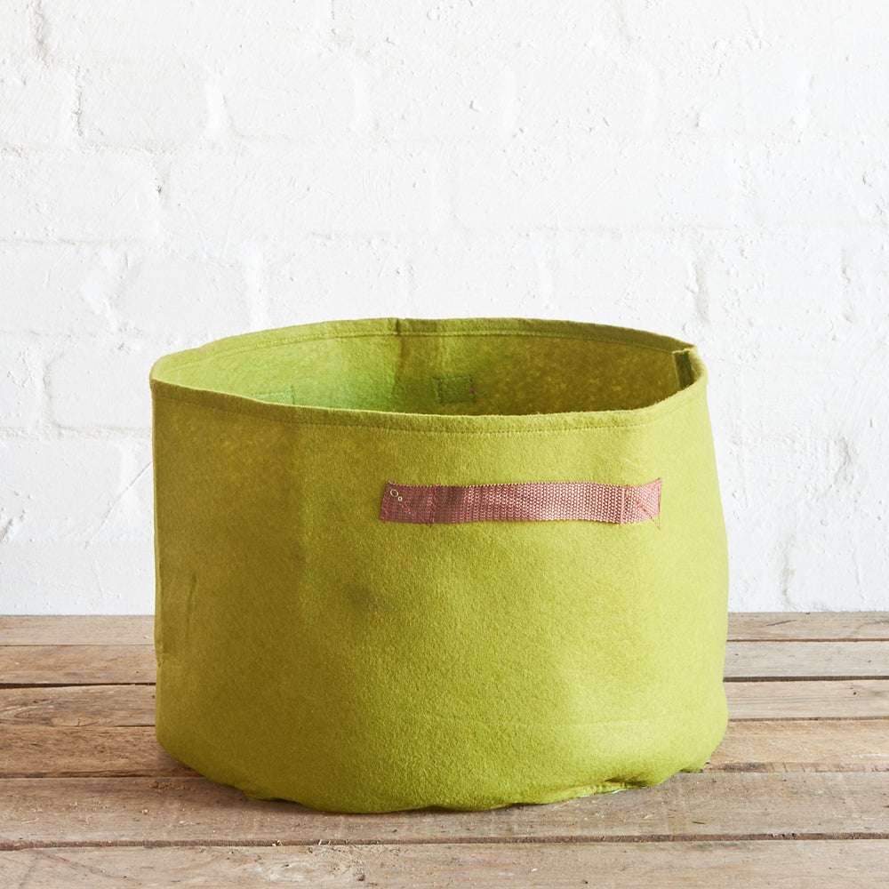 Bepflanzte Vigoroot Tasche auf Holztisch mit Gemüse im Topf