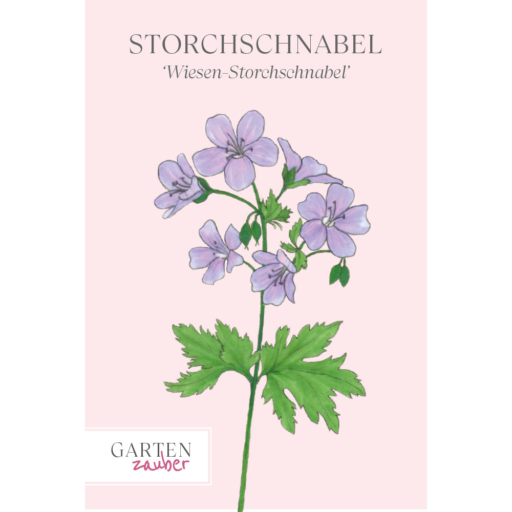 Wiesen-Storchschnabel Saatgut – Sommerblume