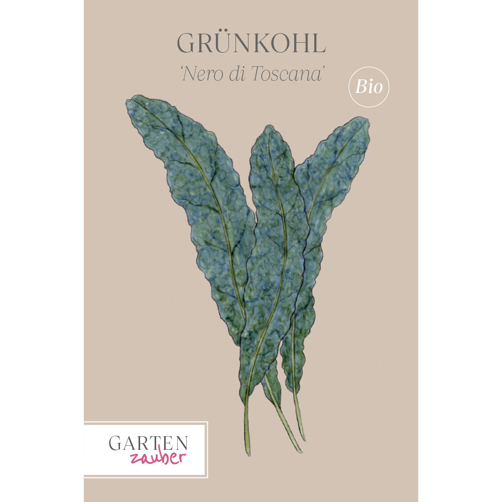Grünkohl 'Nero di Toscana' Saatgut online bestellen