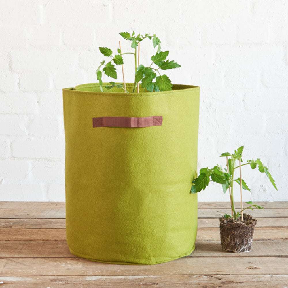 Kartoffel- und Tomaten-Pflanztasche Vigoroot von Haxnicks in Grün