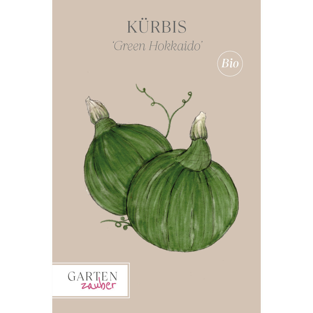 Kürbis 'Green Hokkaido' Saatgut online bestellen
