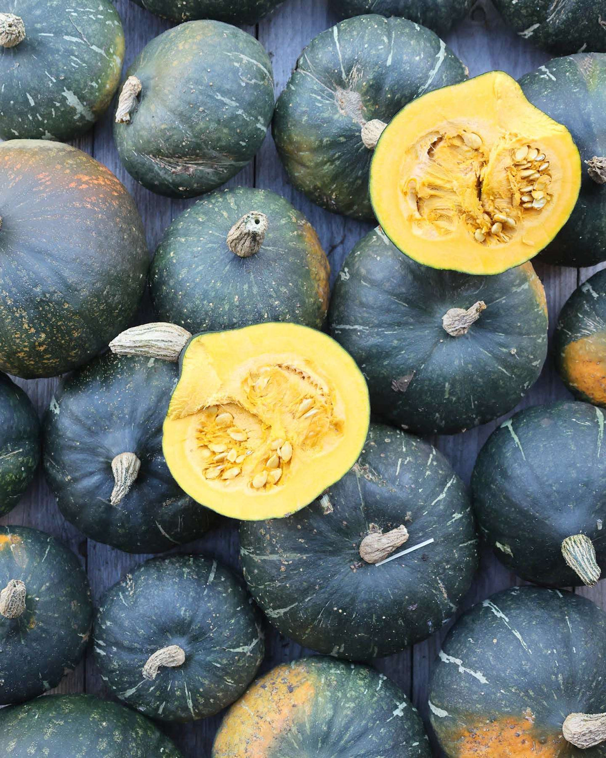 Kürbis 'Green Hokkaido' Saatgut online bestellen