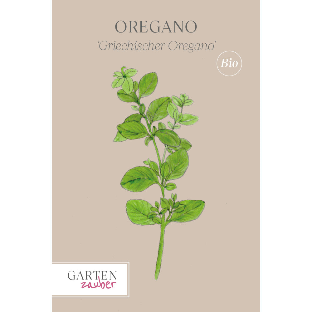 oregano saatgut Griechischer Oregano Saatgut – Küchenkräuter