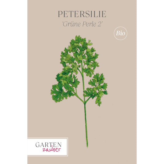 Petersilie 'Petersilie Grüne Perle 2' – Petroselinum crispum ssp. Crispum
