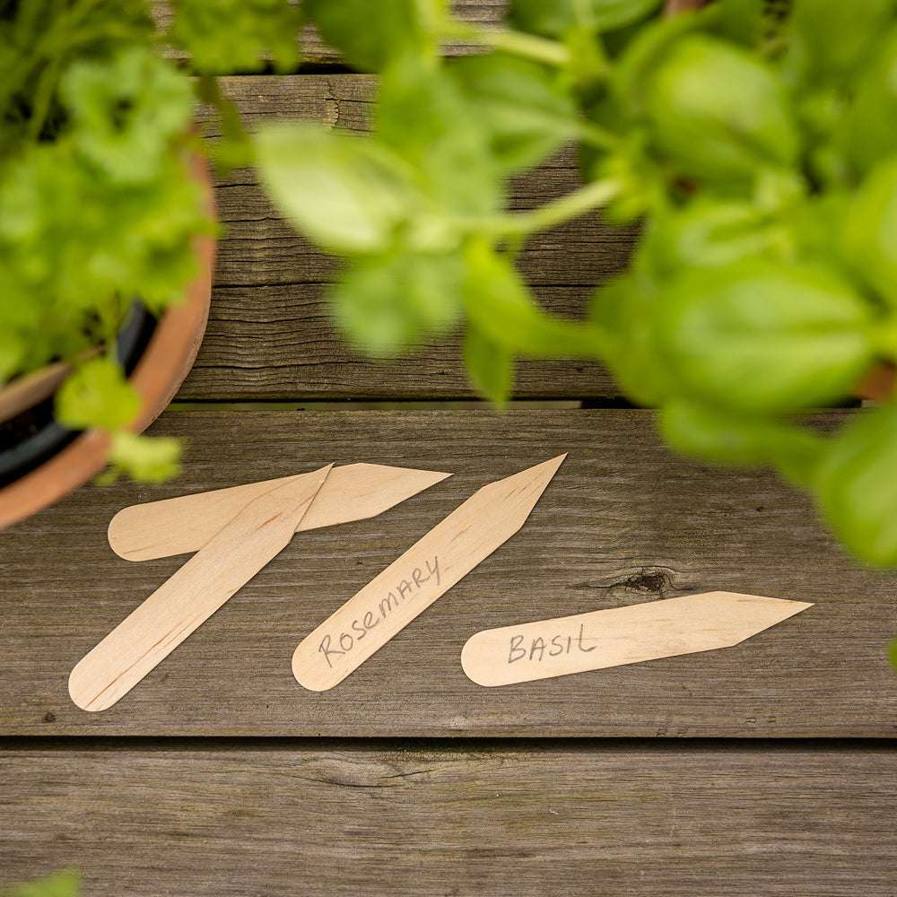 Pflanzschilder aus Birkenholz im 40er Set – beschriftbare Holzetiketten für Aussaat und Anzucht von Gartenzauber auf einem Holztisch