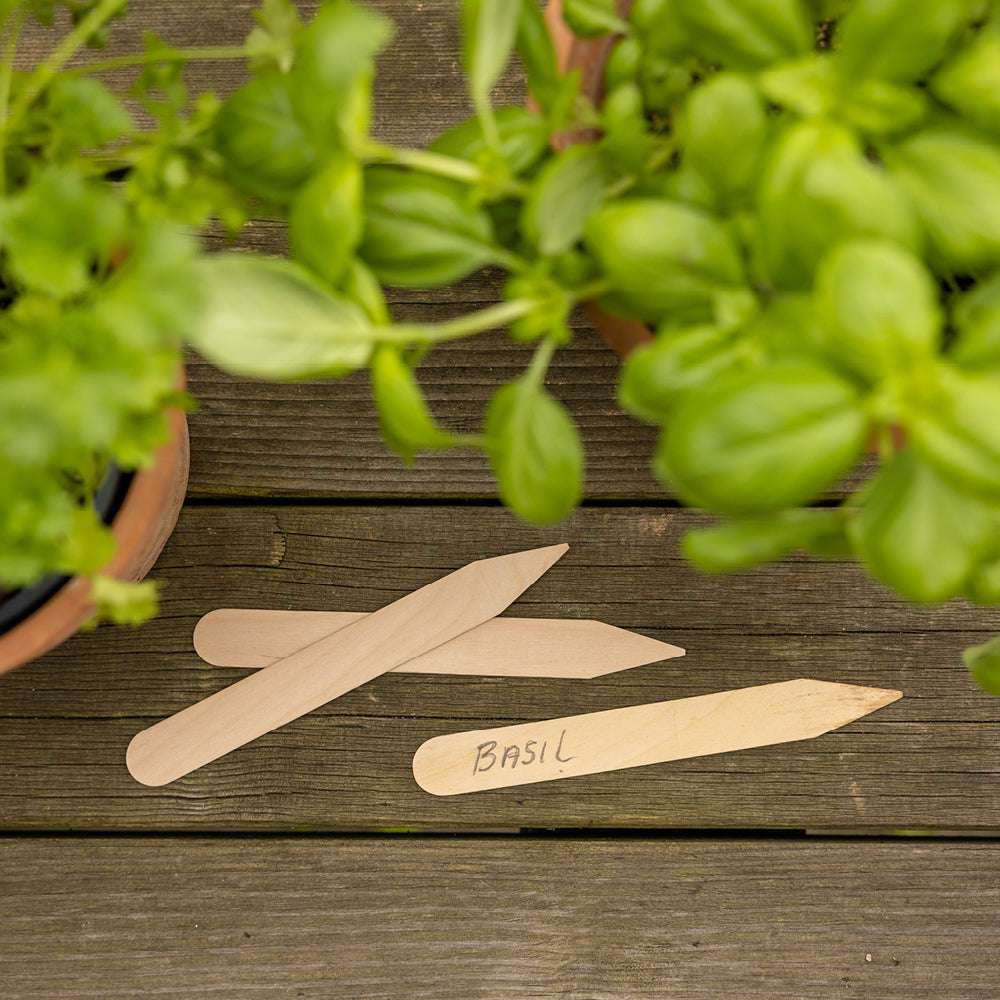 Pflanzschilder aus Birkenholz im 40er Set – beschriftbare Holzetiketten für Aussaat und Anzucht von Gartenzauber auf einem Holztisch