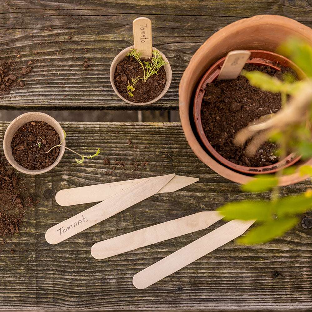 Pflanzschilder aus Birkenholz im 40er Set – beschriftbare Holzetiketten für Aussaat und Anzucht von Gartenzauber auf einem Holztisch