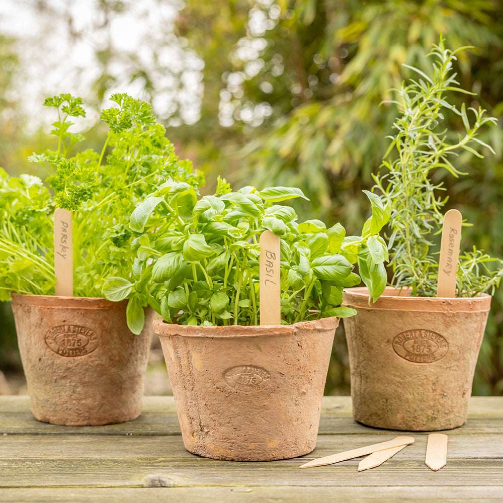 Pflanzschilder aus Birkenholz im 40er Set – beschriftbare Holzetiketten für Aussaat und Anzucht von Gartenzauber
