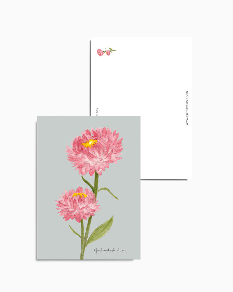 Handgezeichnete Postkarte „Gartenstrohblume“ aus der Gartenzauber Papeterie – farbenfrohe Illustration für besondere Grüße.